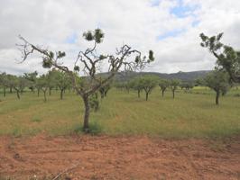 Terreno Urbanizable En venta en Aumalia Felanitx, Felanitx photo 0