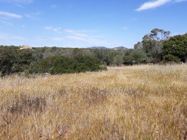 Terreno Urbanizable En venta en Santanyi, Santanyí photo 0