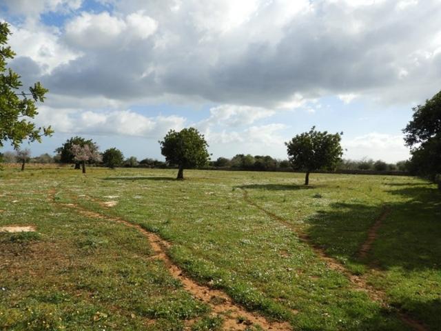 Terreno Urbanizable En venta en S Horta, Felanitx photo 0
