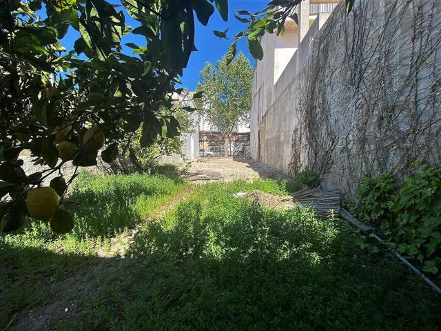 Solar edificable con proyecto situado en Felanitx photo 0
