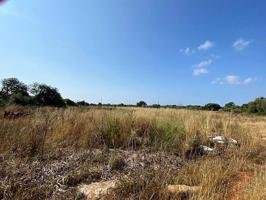 Finca rústica en zona de Ses Salines con proyecto de edificación photo 0