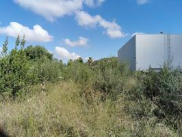 Finca Rústica en zona Ses Salines con proyecto edificación photo 0