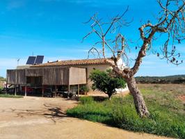 Casa en el campo cerca de Felanitx photo 0