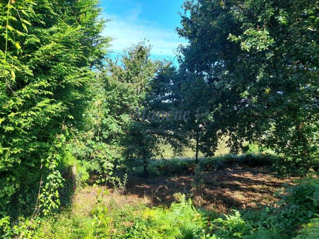 Terreno Urbanizable En venta en La Bilbaína, Mungia photo 0