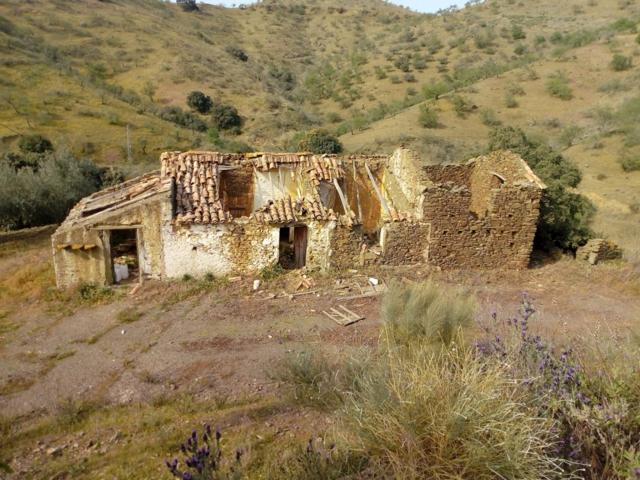 Terreno 80.000m2 con finca de origen photo 0