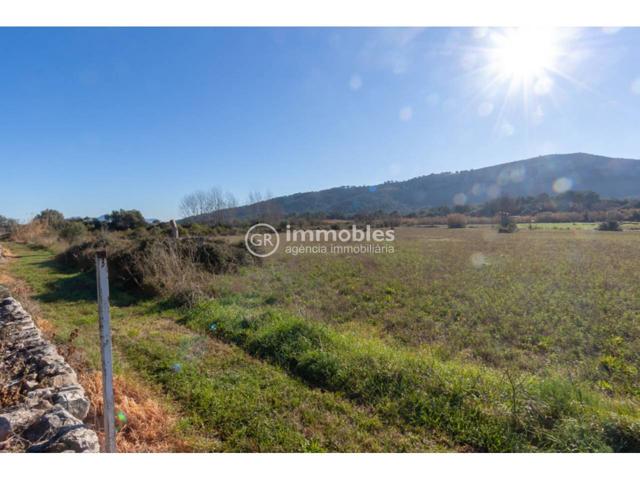 TERRENO EN VENTA EN POLLENÇA photo 0