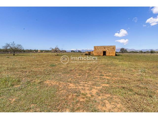 Terreno rústico edificable en Sineu photo 0