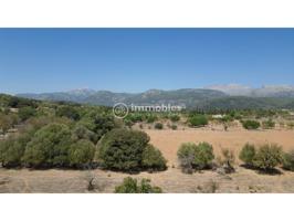 TERRENO EDIFICABLE CON PROYECTO Y LICENCIA EN CAMPANET photo 0