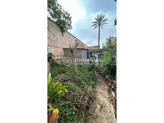 CASA CON JARDIN EN EL CENTRO DE BINISSALEM photo 0