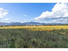 VENTA DE TRES SOLARES EDIFICABLES photo 0
