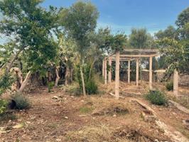 Gran finca rustica en venta photo 0