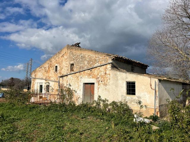FINCA RUSTICA CON VIVIENDA A REFORMAR photo 0