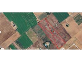FINCA EDIFICABLE CON POZO Y ELECTRICIDAD photo 0
