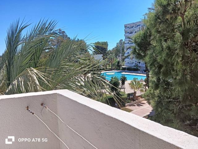 Piso en venta en Platja d'Alcúdia-Port d'Alcúdia photo 0