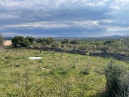 FINCA EDIFICABLE CON VISTAS CON LICENCIA Y PROYECTO photo 0
