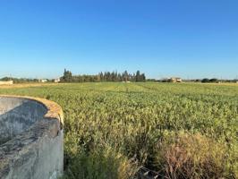 Finca rustica en venta en Sa Pobla photo 0