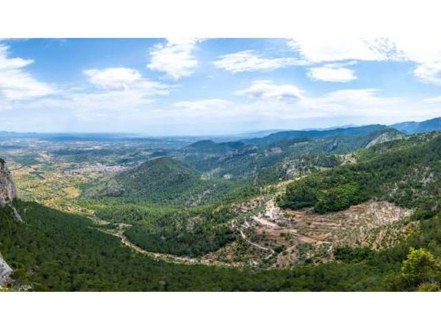 TERRENO RÚSTICO CON PROYECTO Y LICENCIAS APROBADAS EN ALARÓ - LISTO PARA CONSTRUIR photo 0