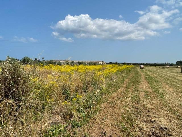 Finca rustica en venta en SA POBLA photo 0