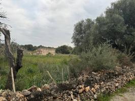 Finca rustica en venta en SANTA MARGALIDA photo 0