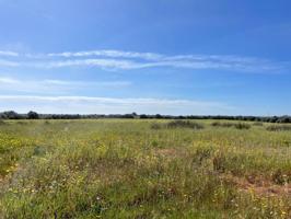 Finca rustica en venta en LLucmajor photo 0