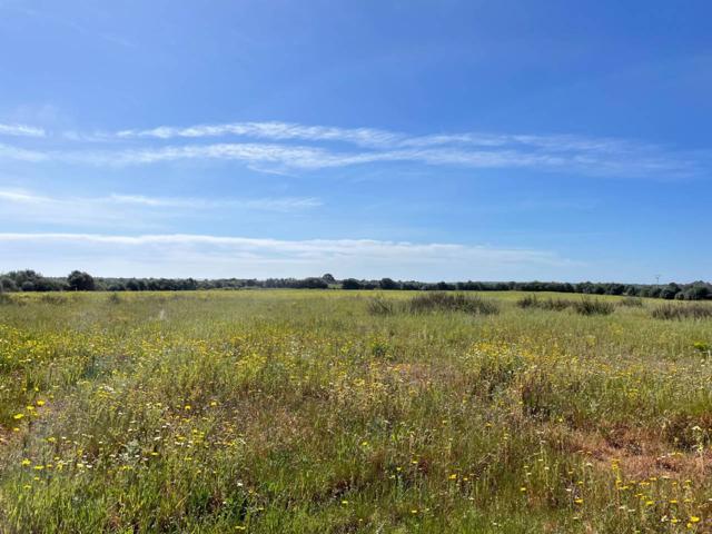 Finca rustica en venta en LLucmajor photo 0