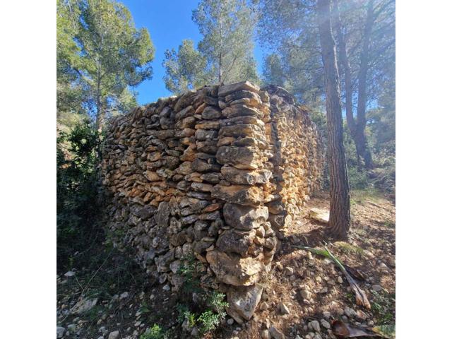 Terreno en venta en Valldemar-Calafell Parc-Mas Romeu(43882) photo 0