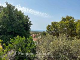 Parcela en venta en RODA DE BERA photo 0