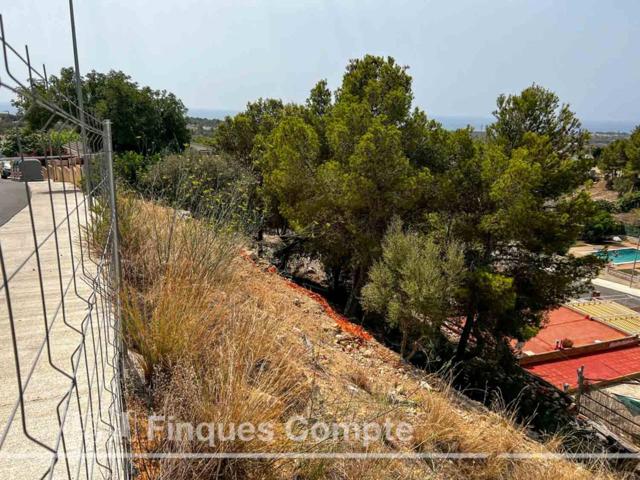 Parcela en venta en RODA DE BERA photo 0
