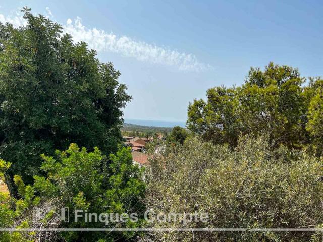 Parcela en venta en RODA DE BERA photo 0