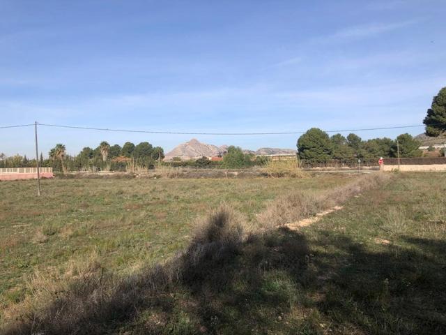 Se Vende Finca Rústica en la Horna Alta - Novelda (Alicante) photo 0