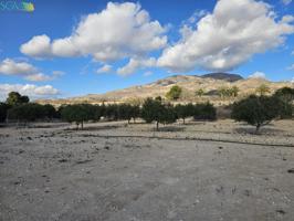 SE VENDE PARCELA EN LA SERRETA - MONFORTE DEL CID (ALICANTE) photo 0