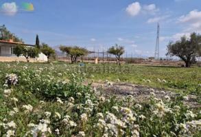 SE VENDE CHALET EN EL CAMPET - NOVELDA (ALICANTE) photo 0