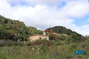 C110 Parcela con amplio terreno cultivable y con una casita en Villa de Mazo photo 0