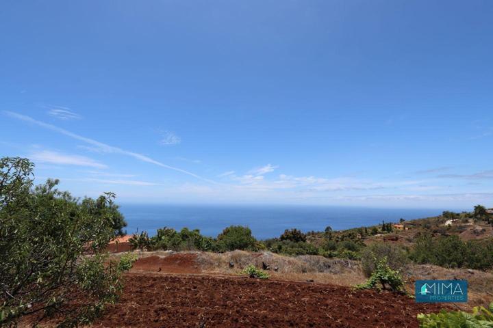 C116 ¡OPORTUNIDAD ÚNICA! Finca edificable con vistas impresionantes y una casa para reformar en Tijarafe photo 0