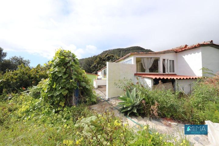 C130 ¡OPORTUNIDAD! Parcela con dos casas para alquilar y amplias áreas verdes en Las Ledas, Breña Alta photo 0