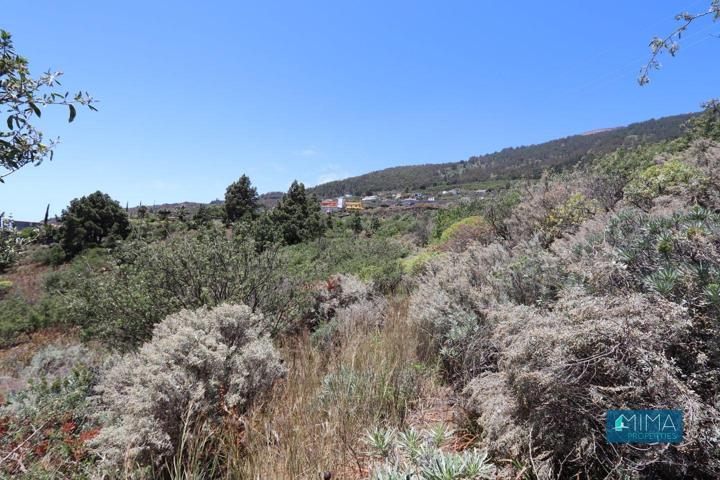 T044 Terreno para cultivo o uso turístico en Villa de Mazo photo 0