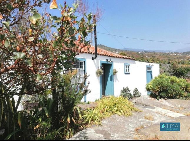 C137 ¡Inversión inteligente! Casa terrera dividida en dos apartamentos, rodeada de áreas verdes y con magníficas vistas en Villa de Mazo photo 0
