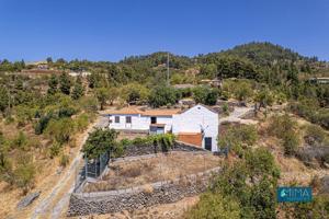 C140 Tradicional casa de campo de estilo canario en Las Tricias, Villa de Garafía photo 0