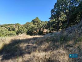 T047 Finca rústica con hermosas vistas en Villa de Garafía photo 0