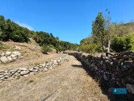 T046 Terreno fértil con cueva -almacén en la tranquila Villa de Garafía photo 0