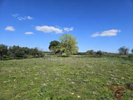 Finca Rústica en venta en Fuente El Saz del Jarama de 3808 m2 photo 0