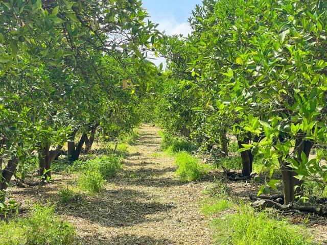 Terreno en venta en San Martín del Tesorillo de 39199 m2 photo 0