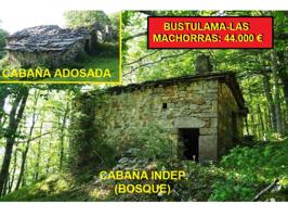 Conjunto de 2 Cabañas que suman 184 m2 constr. en terreno de 13.340 m2 (parte bosque) a 2 km. de Las Machorras-Espinosa photo 0