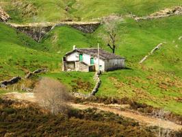 Cabaña Indep. de piedra y sillería con anexo de 265 m2 constr. en total en Terreno de 27.665 m2 en Sitio Bustelario, Tru photo 0
