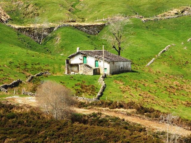 Cabaña Indep. de piedra y sillería con anexo de 265 m2 constr. en total en Terreno de 27.665 m2 en Sitio Bustelario, Tru photo 0