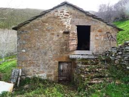 Cabaña Ind. 146 m2+Terreno 9.250 m2, la Sía, Km.3 photo 0