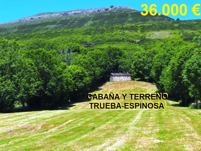 Cabaña Indep. de 160 m2 constr. (115 m2 útiles) en 2 plantas con Terreno de 10.300 m2. Poste de Luz, Agua municipal a me photo 0