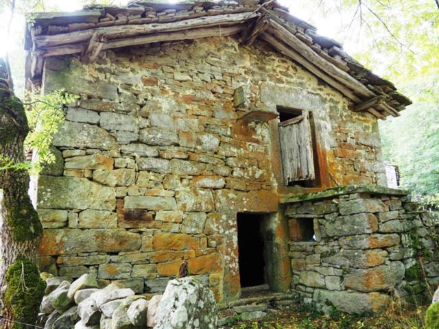 Cabaña Pasiega Indep. de 140 m2 en 2 plantas en Terreno de 7.500 m2 en Bustulama (a 1'5 km. de Las Machorras)-Rioseco-Es photo 0
