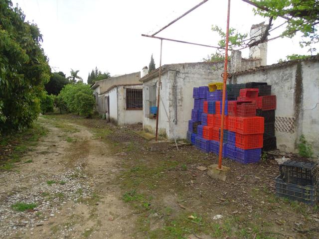 CASA CON FINCA DE 15.OOO METROS CON CASA MUY CERCA DEL PUEBLO DE ALHAURIN EL GRANDE photo 0