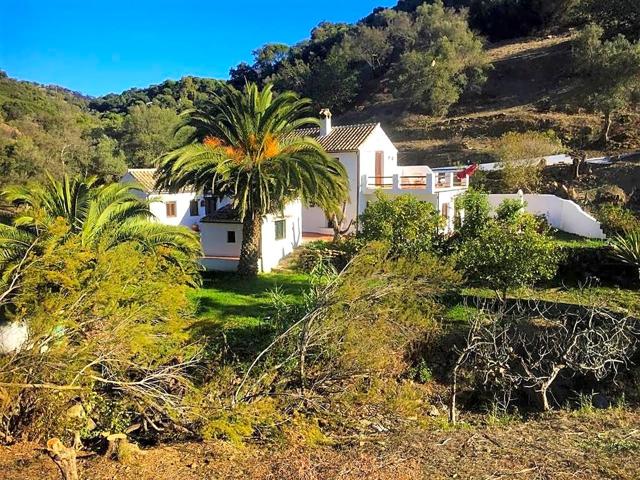 Magnífica finca con piscina en Casares photo 0